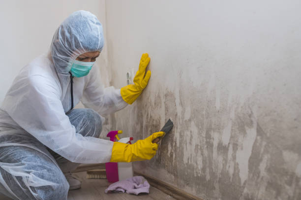 Best Home Mold Removal  in Garland, NC