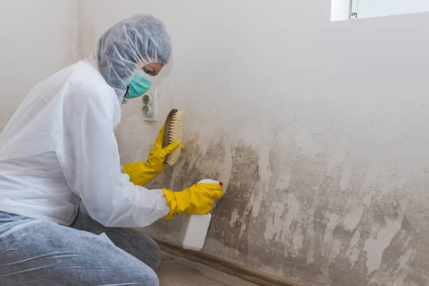 Best Crawl Space Mold Removal  in Garland, NC