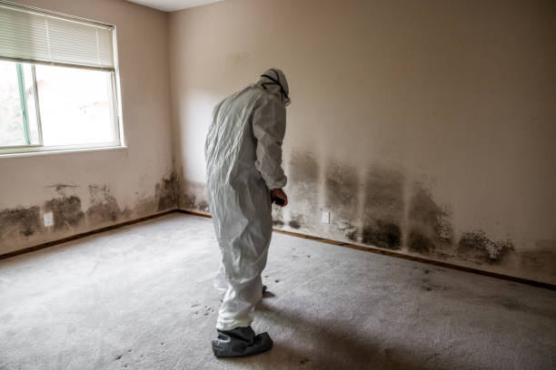 Best Certified Mold Removal  in Garland, NC